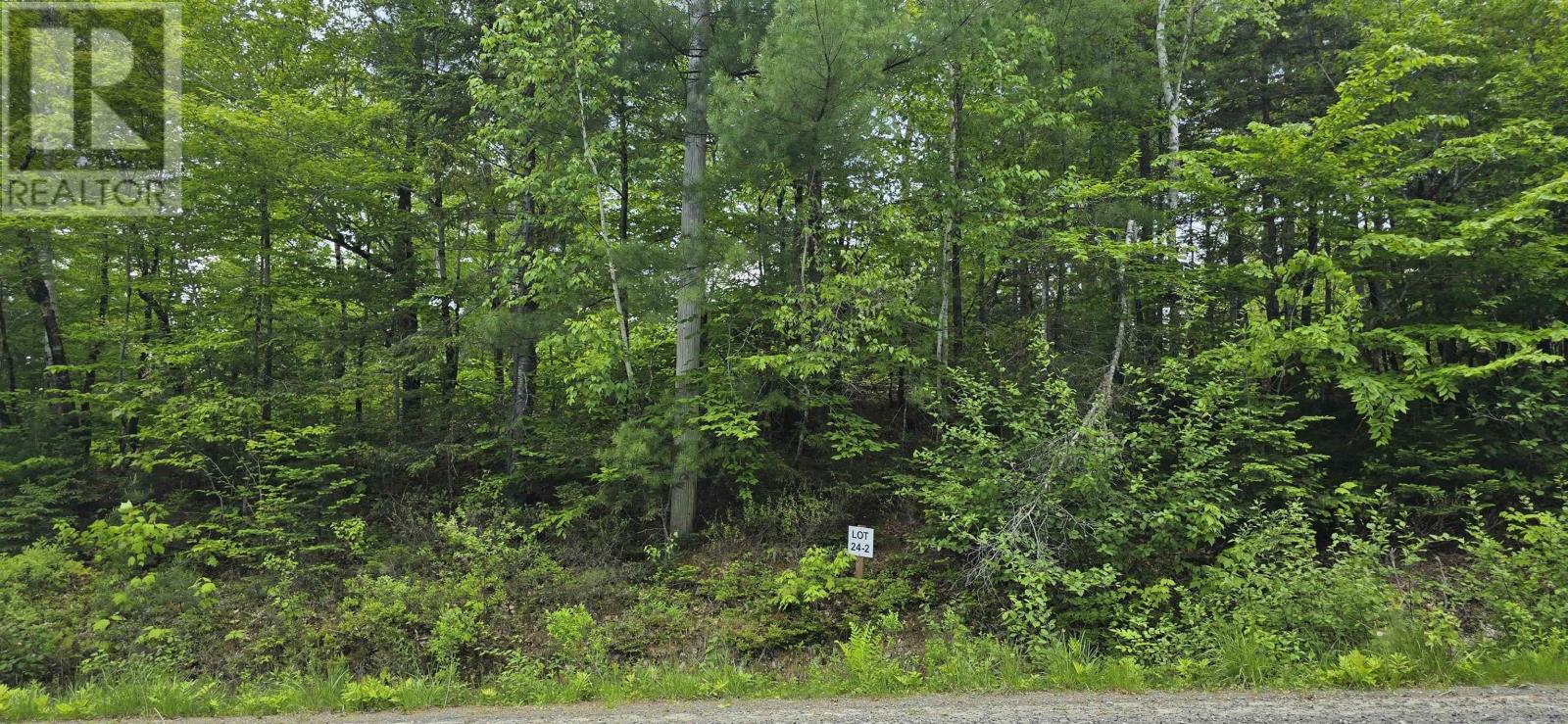 Lot 24-2 East Clifford Road, East Clifford, Nova Scotia  B4V 7R8 - Photo 3 - 202513797