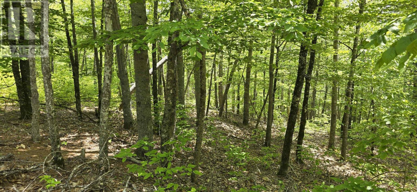 Lot 24-2 East Clifford Road, East Clifford, Nova Scotia  B4V 7R8 - Photo 6 - 202513797