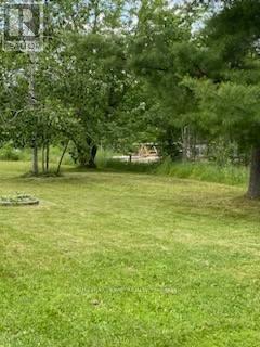 194 Mcguire Beach Road, Kawartha Lakes (Carden), Ontario  K0M 2B0 - Photo 33 - X12289121