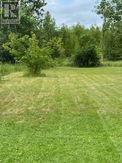 194 Mcguire Beach Road, Kawartha Lakes (Carden), Ontario  K0M 2B0 - Photo 35 - X12289121