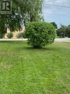 194 Mcguire Beach Road, Kawartha Lakes (Carden), Ontario  K0M 2B0 - Photo 34 - X12289121