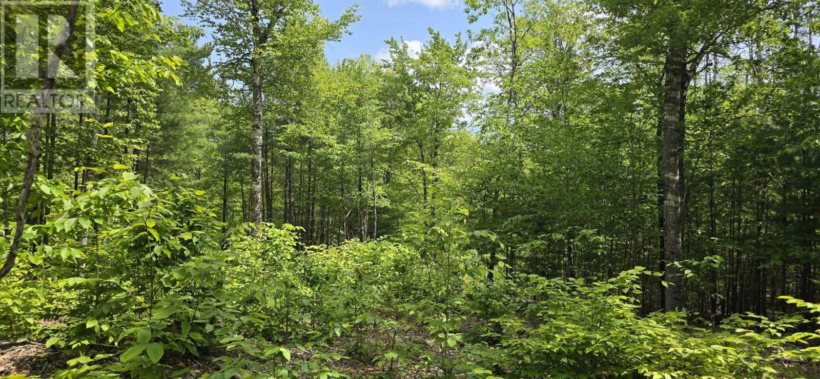 Lot 24-3 East Clifford Road, East Clifford, Nova Scotia  B4V 7R8 - Photo 18 - 202513798