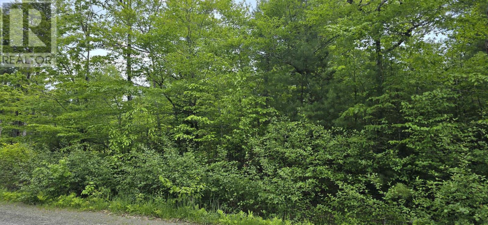 Lot 24-3 East Clifford Road, East Clifford, Nova Scotia  B4V 7R8 - Photo 24 - 202513798