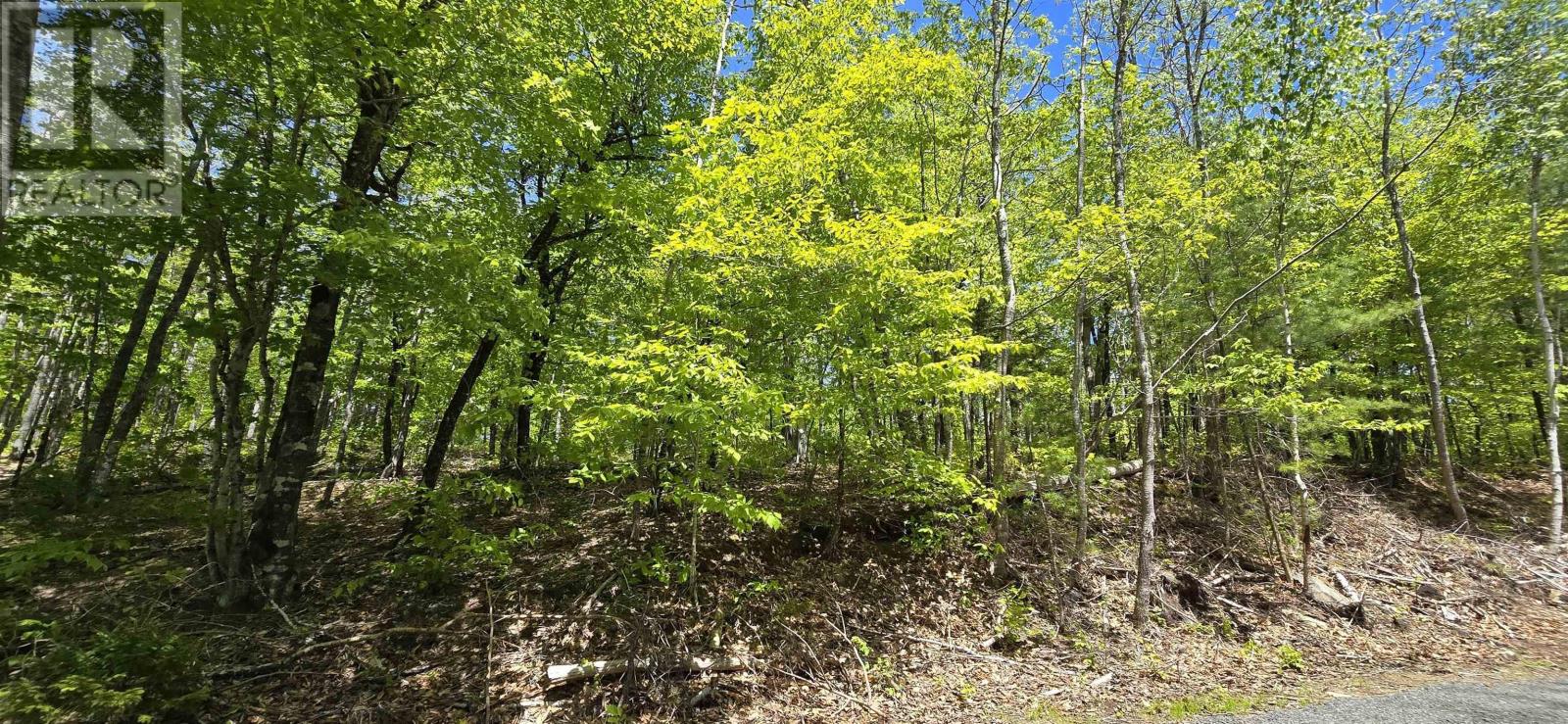 Lot 24-3 East Clifford Road, East Clifford, Nova Scotia  B4V 7R8 - Photo 28 - 202513798