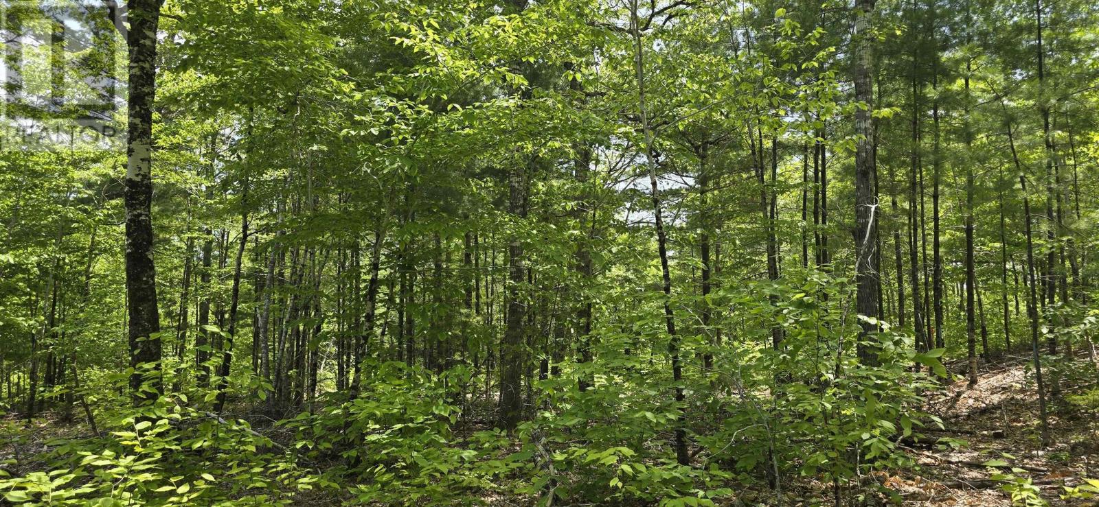 Lot 24-3 East Clifford Road, East Clifford, Nova Scotia  B4V 7R8 - Photo 4 - 202513798