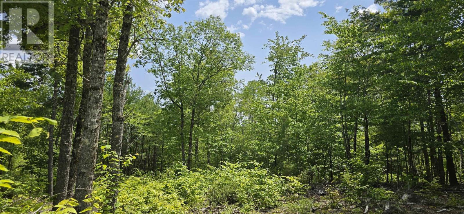 Lot 24-3 East Clifford Road, East Clifford, Nova Scotia  B4V 7R8 - Photo 8 - 202513798
