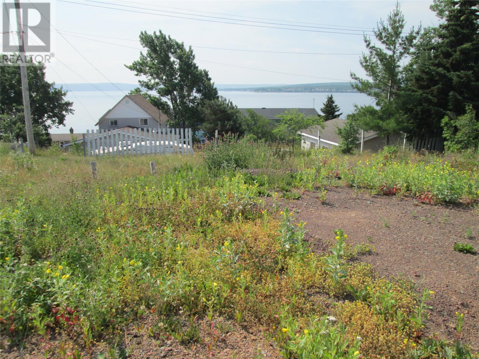6 Watermans Lane, Botwood, Newfoundland & Labrador  A0H 1E0 - Photo 3 - 1288042