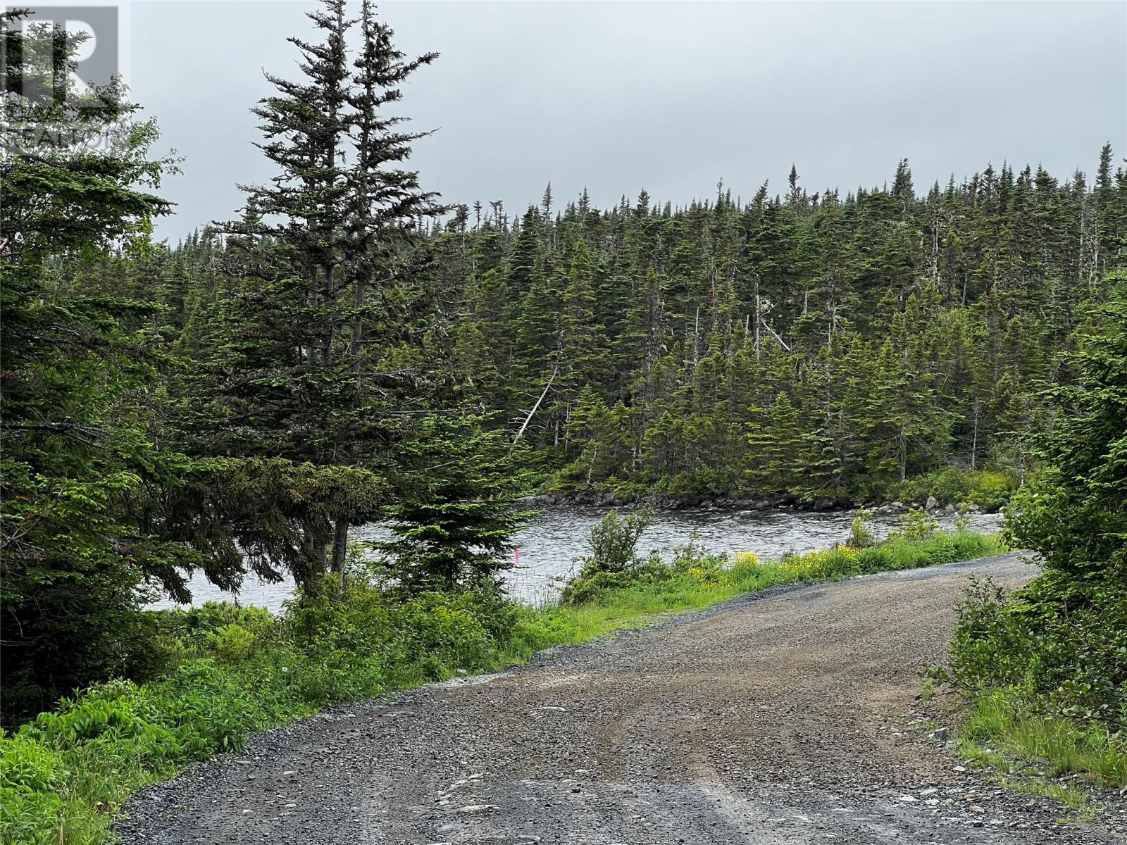 57 Line Road, Carbonear, Newfoundland & Labrador  A0A 1T0 - Photo 10 - 1288038