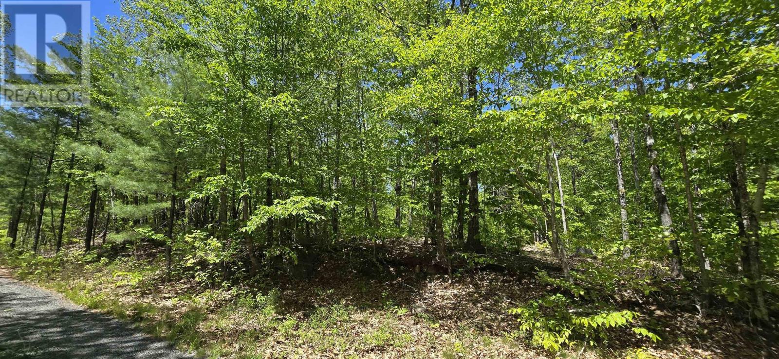 Lot 24-4 East Clifford Road, East Clifford, Nova Scotia  B4V 7R8 - Photo 29 - 202513799