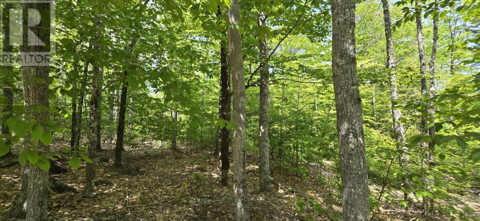 Lot 24-4 East Clifford Road, East Clifford, Nova Scotia  B4V 7R8 - Photo 11 - 202513799