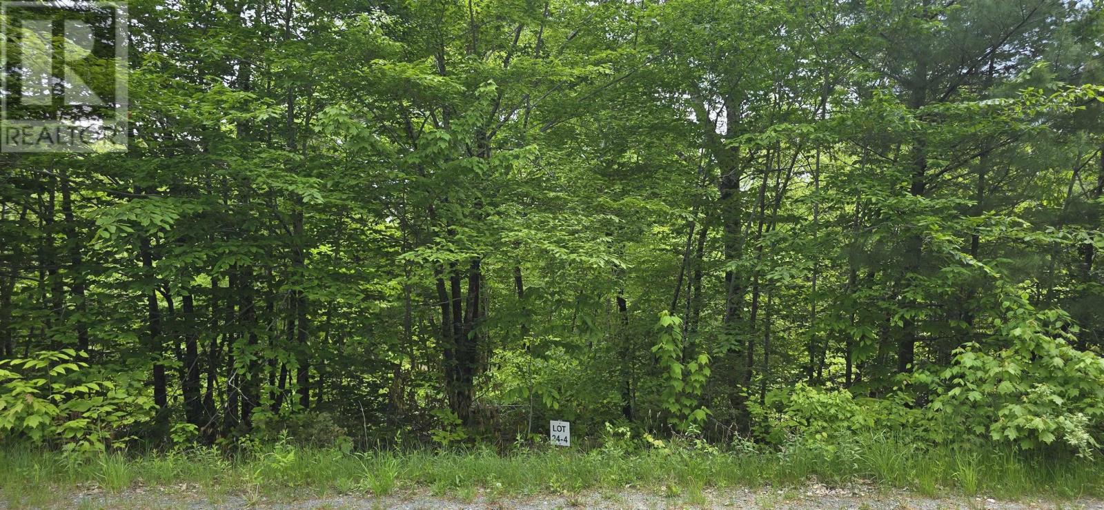 Lot 24-4 East Clifford Road, East Clifford, Nova Scotia  B4V 7R8 - Photo 3 - 202513799