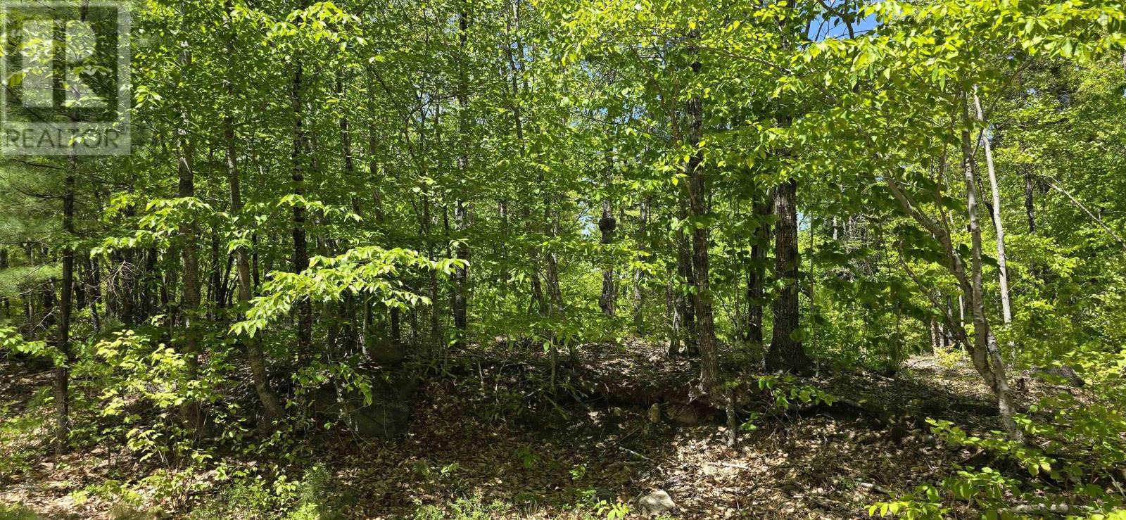 Lot 24-4 East Clifford Road, East Clifford, Nova Scotia  B4V 7R8 - Photo 28 - 202513799