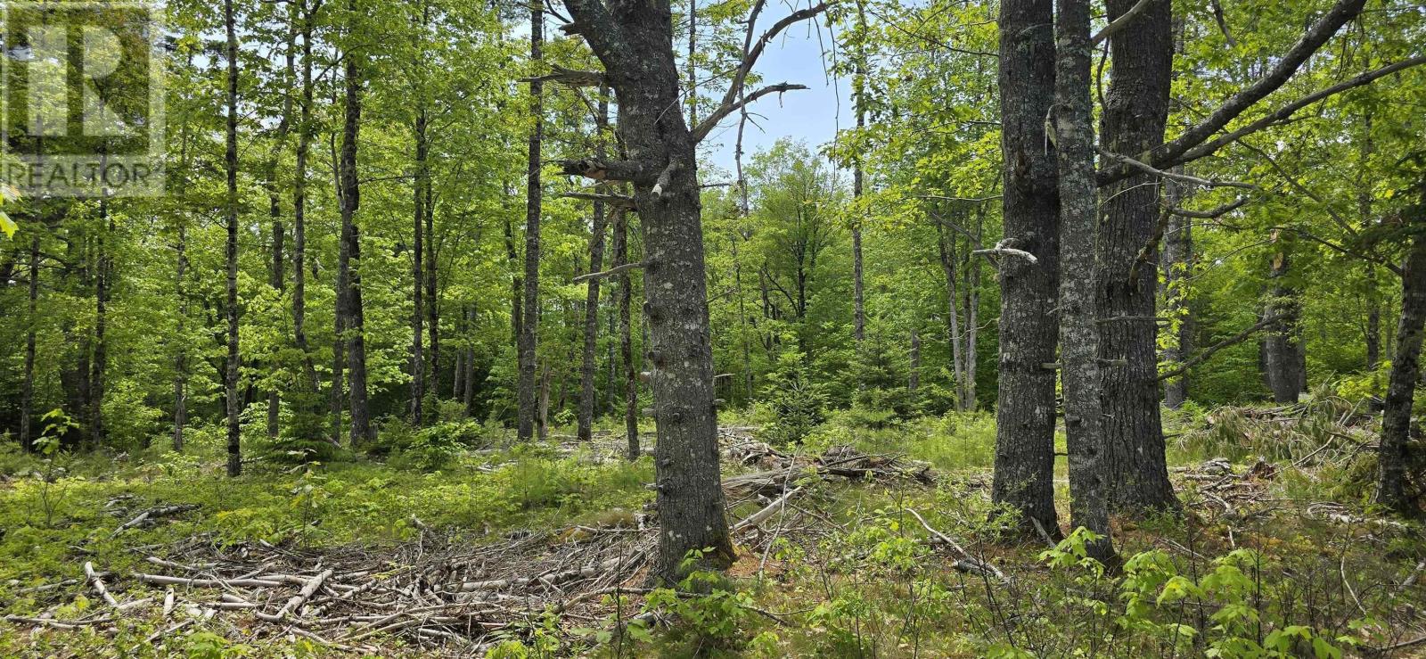 Lot 24-6 East Clifford Road, East Clifford, Nova Scotia  B4V 7R8 - Photo 11 - 202513801
