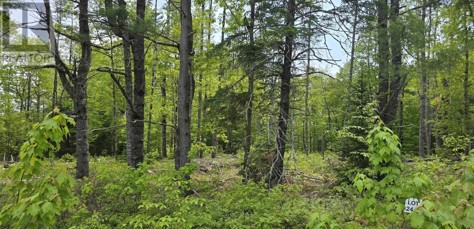 Lot 24-6 East Clifford Road, East Clifford, Nova Scotia  B4V 7R8 - Photo 13 - 202513801