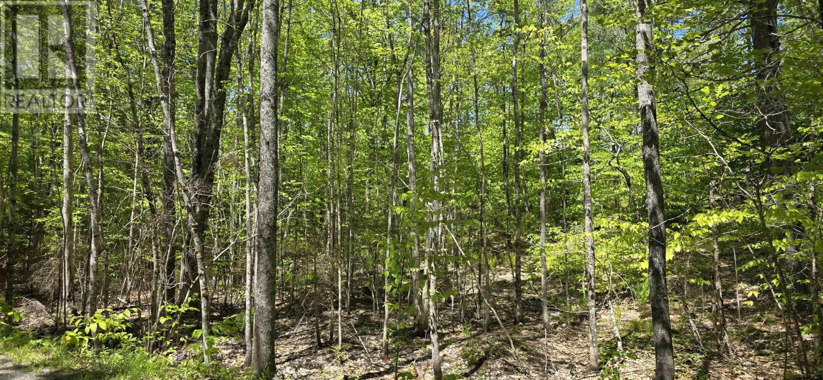 Lot 24-6 East Clifford Road, East Clifford, Nova Scotia  B4V 7R8 - Photo 17 - 202513801