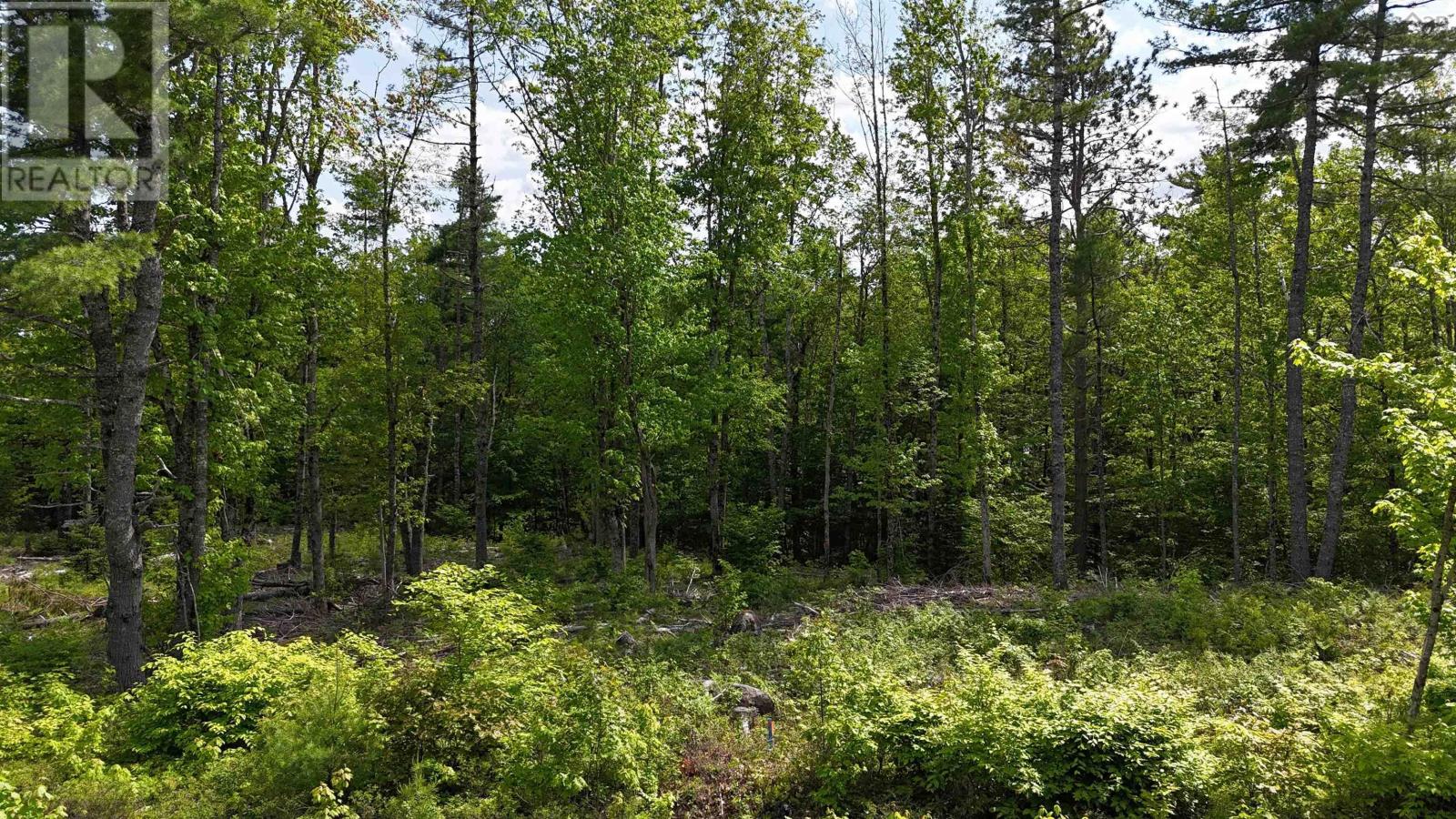 Lot 24-6 East Clifford Road, East Clifford, Nova Scotia  B4V 7R8 - Photo 22 - 202513801