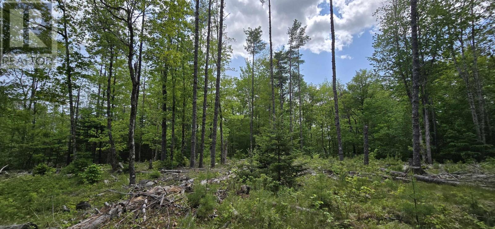 Lot 24-6 East Clifford Road, East Clifford, Nova Scotia  B4V 7R8 - Photo 6 - 202513801