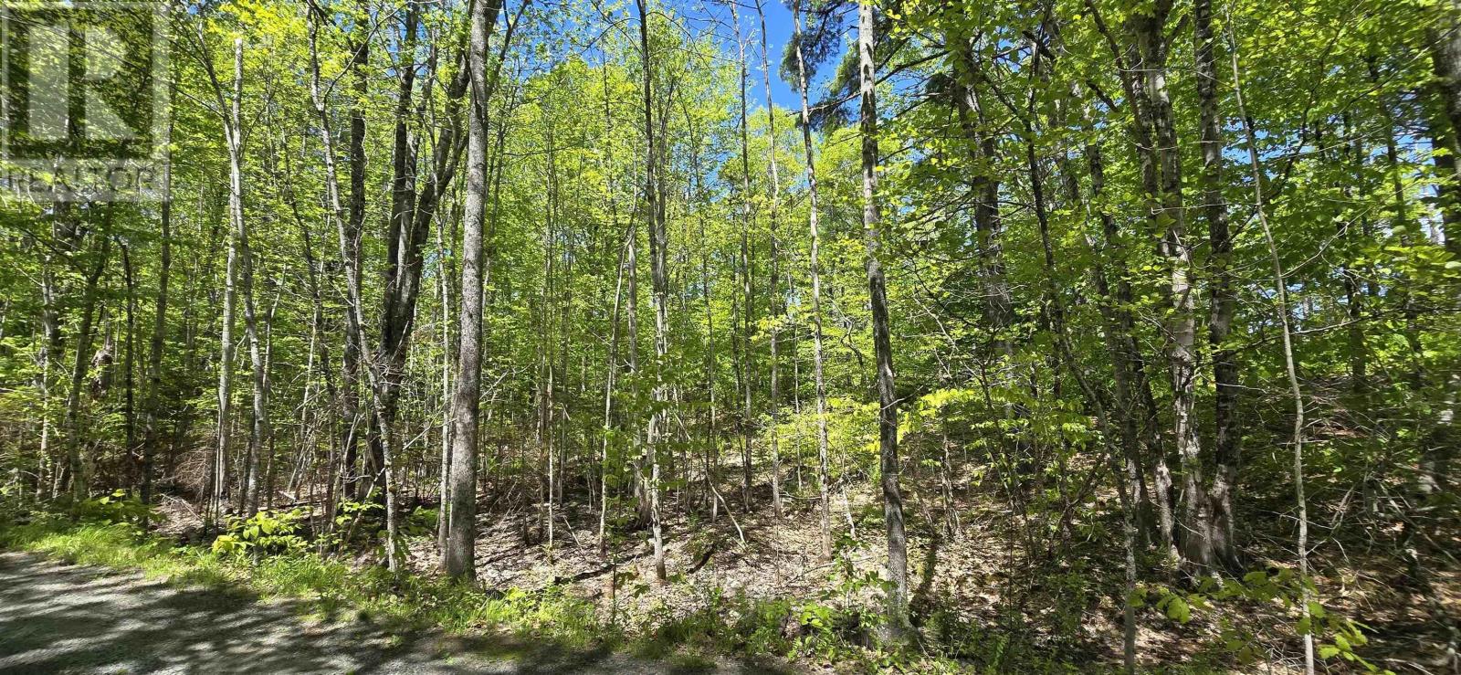 Lot 24-6 East Clifford Road, East Clifford, Nova Scotia  B4V 7R8 - Photo 18 - 202513801