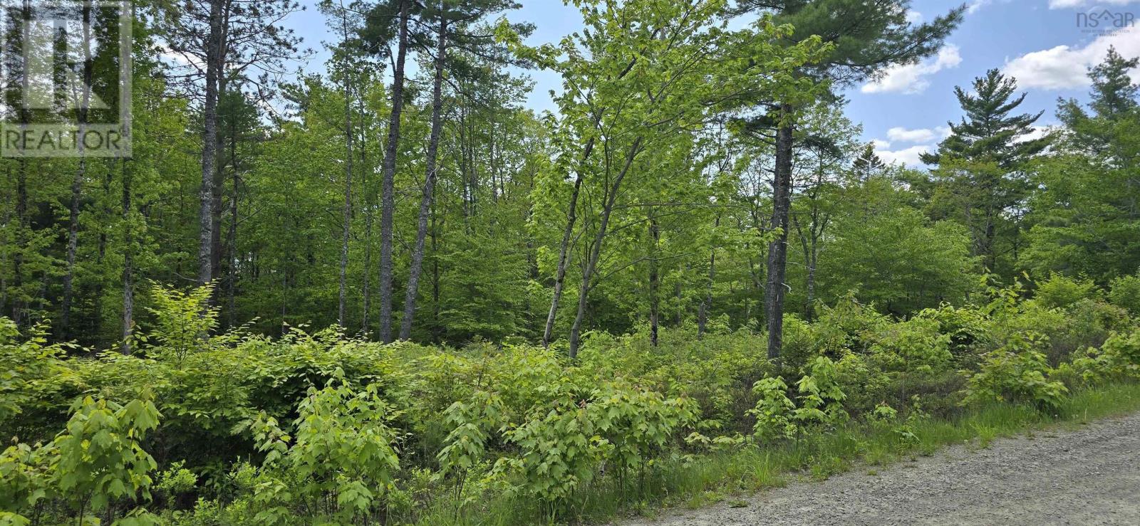 Lot 24-5 East Clifford Road, East Clifford, Nova Scotia  B4V 7R8 - Photo 18 - 202513802