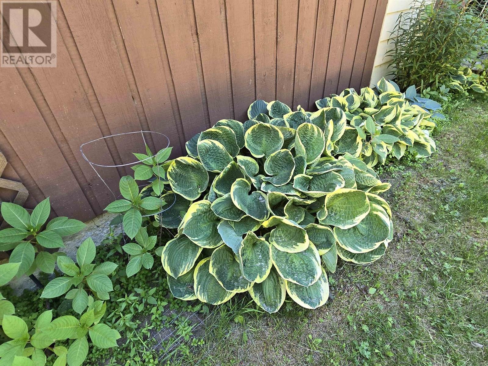 200 Whiskeyfill Road, Valemount, British Columbia  V0E 2Z0 - Photo 31 - R3028119