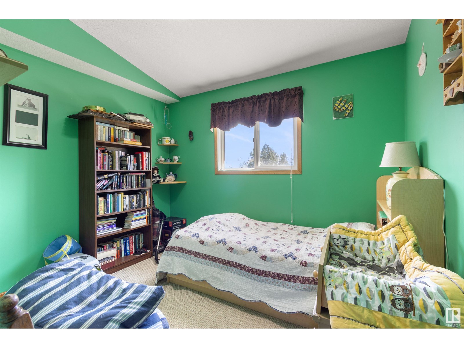 50428 Range Road 81, Rural Brazeau County, Alberta  T7A 2A2 - Photo 19 - E4448312