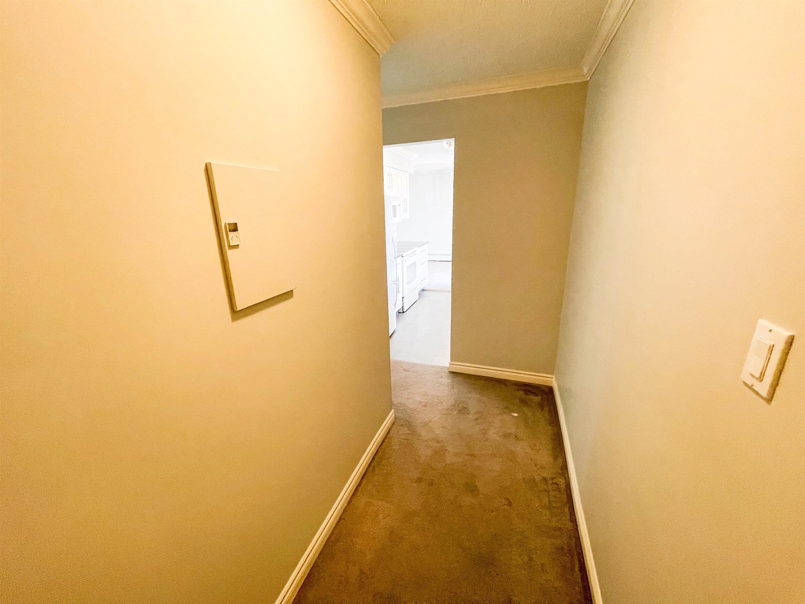 Property at 206 1351 MARTIN STREET image 3