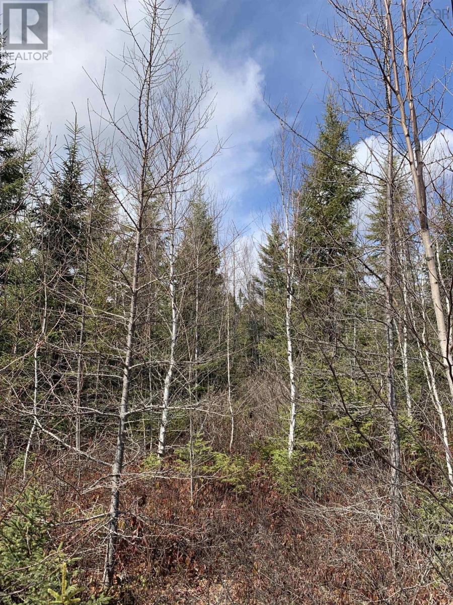 Lot Hunter West Road, Wentworth Valley Preserve, Wentworth Valley, Nova Scotia  B0M 1Z0 - Photo 1 - 202507664