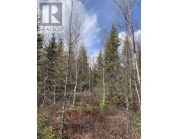 Lot Hunter West Road|Wentworth Valley Preserve, Wentworth Valley, Nova Scotia