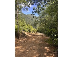 49780 LOOKOUT ROAD|Ryder Lake