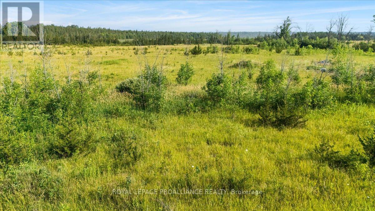 3529 Blessington Road, Tyendinaga, Ontario  K0K 2N0 - Photo 7 - X12292000