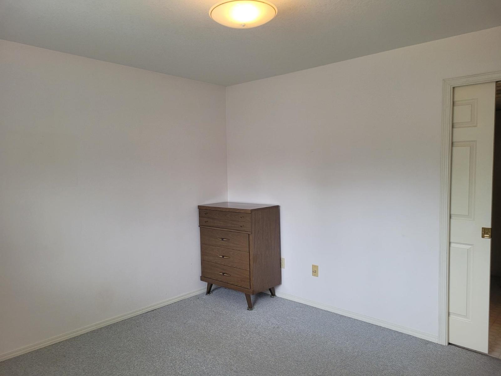 3015 Cassiar Avenue, Abbotsford, British Columbia  V2S 6B7 - Photo 20 - R3014585