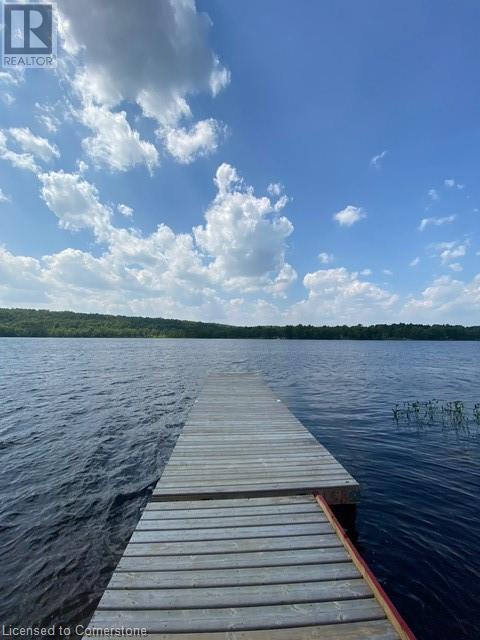170 Odorizzi Road, Golden Valley, Ontario  P0H 1N0 - Photo 28 - 40752344