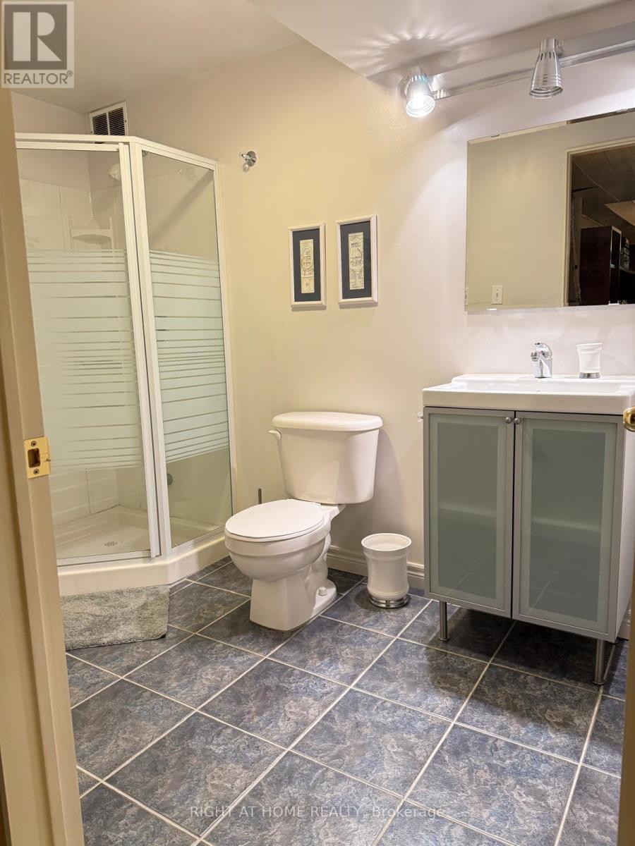 54 Golden Oak Avenue, Richmond Hill, Ontario  L4S 1Y5 - Photo 25 - N12284495