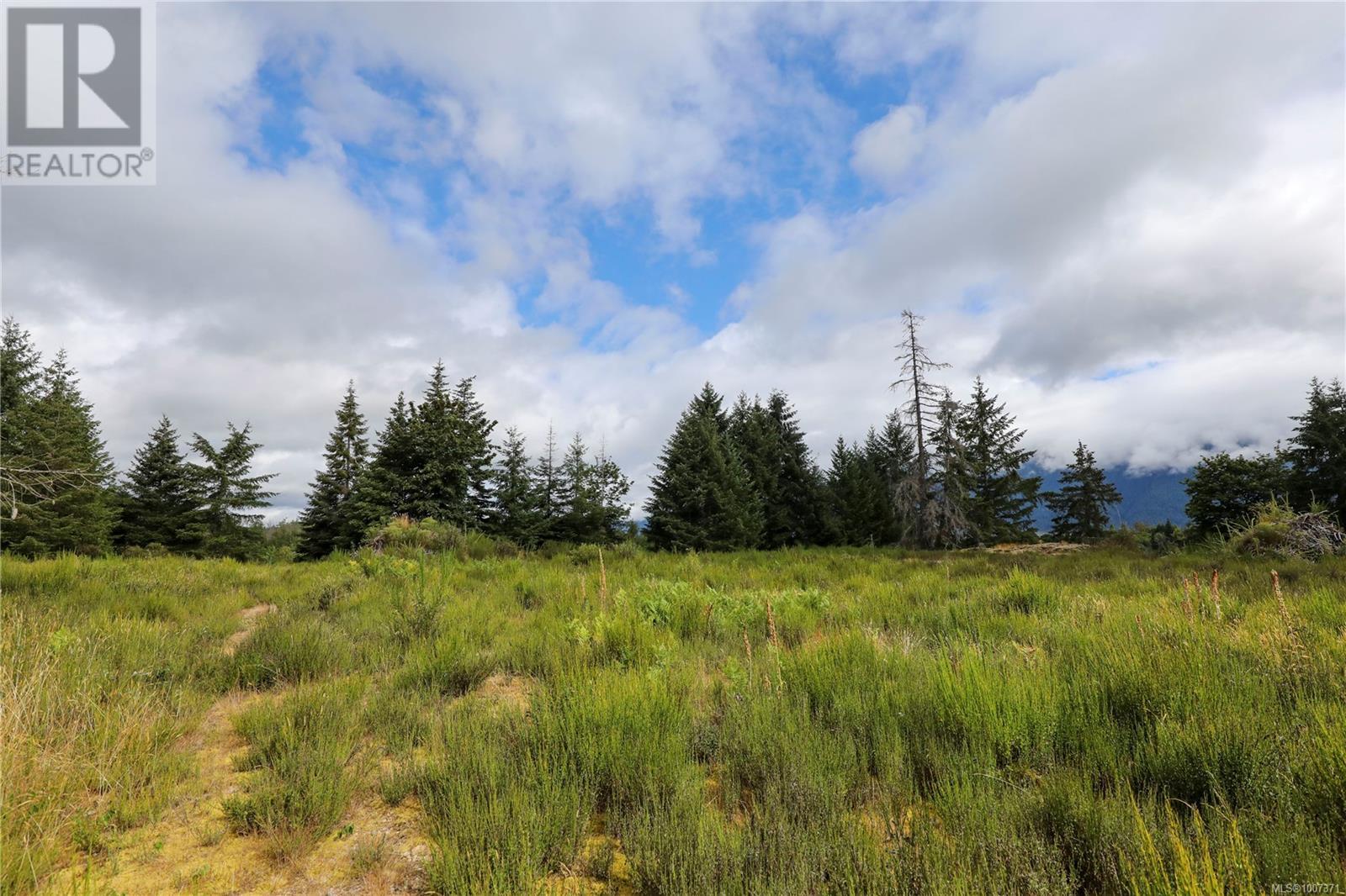 8855 Central Lake Rd, Port Alberni, British Columbia  V9Y 8Z1 - Photo 15 - 1007371