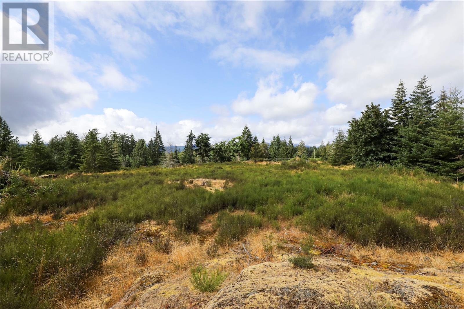 8855 Central Lake Rd, Port Alberni, British Columbia  V9Y 8Z1 - Photo 16 - 1007371