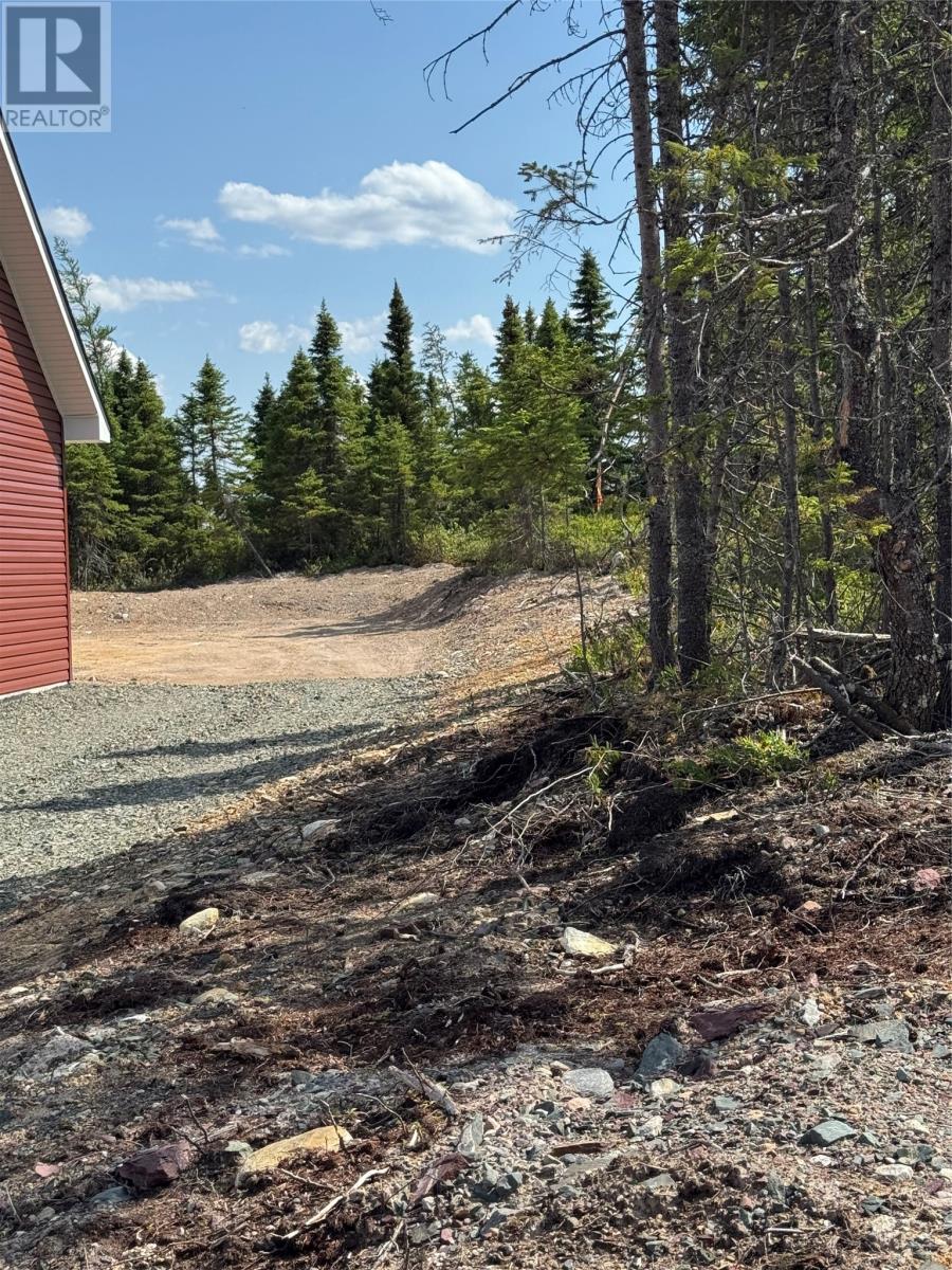 3 Peddles Lane, Port Blandford, Newfoundland & Labrador  A0C 2G0 - Photo 11 - 1282772