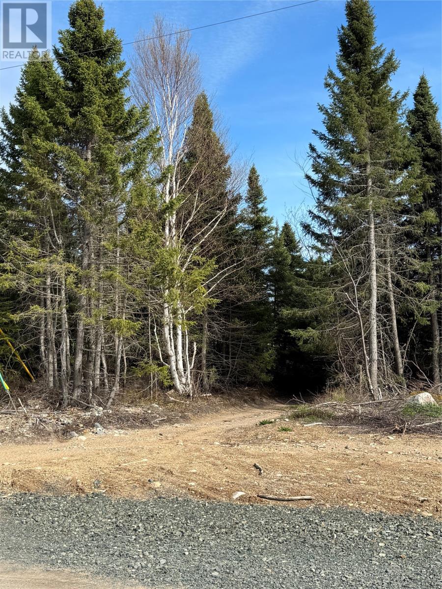 3 Peddles Lane, Port Blandford, Newfoundland & Labrador  A0C 2G0 - Photo 8 - 1282772