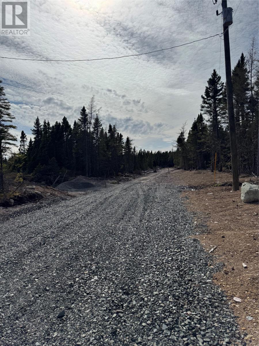 3 Peddles Lane, Port Blandford, Newfoundland & Labrador  A0C 2G0 - Photo 9 - 1282772