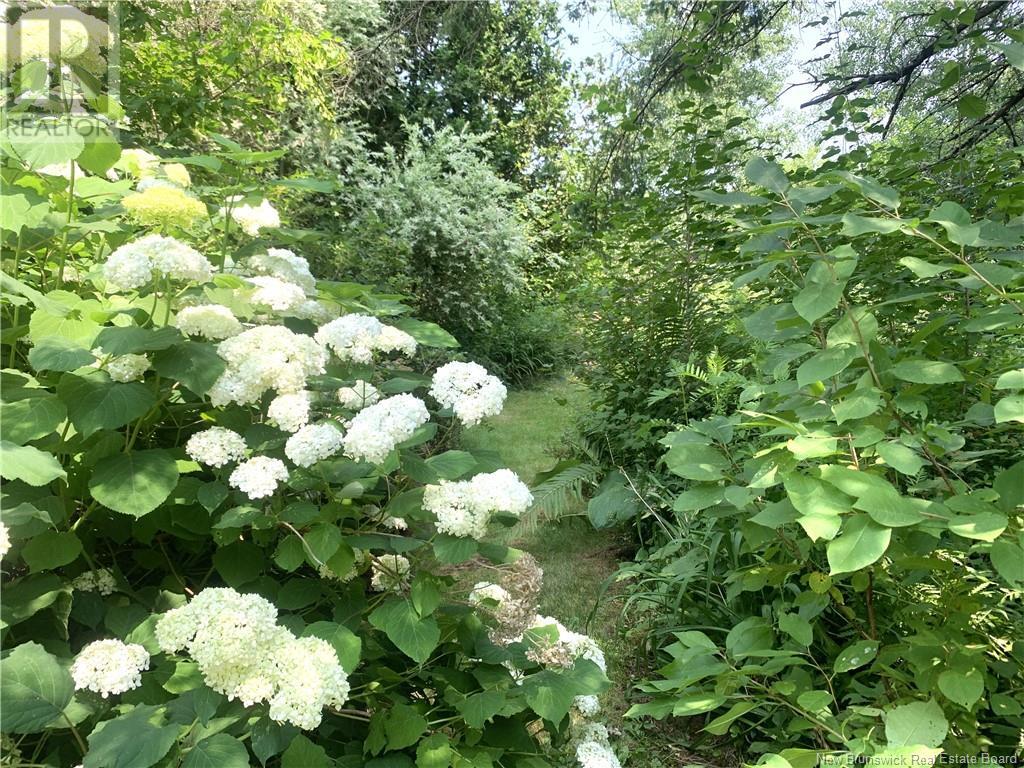 367 Route 105, Maugerville, New Brunswick  E3A 8N6 - Photo 48 - NB123157