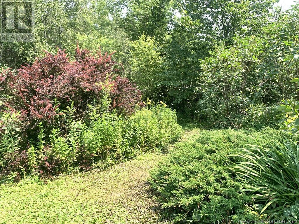 367 Route 105, Maugerville, New Brunswick  E3A 8N6 - Photo 49 - NB123157