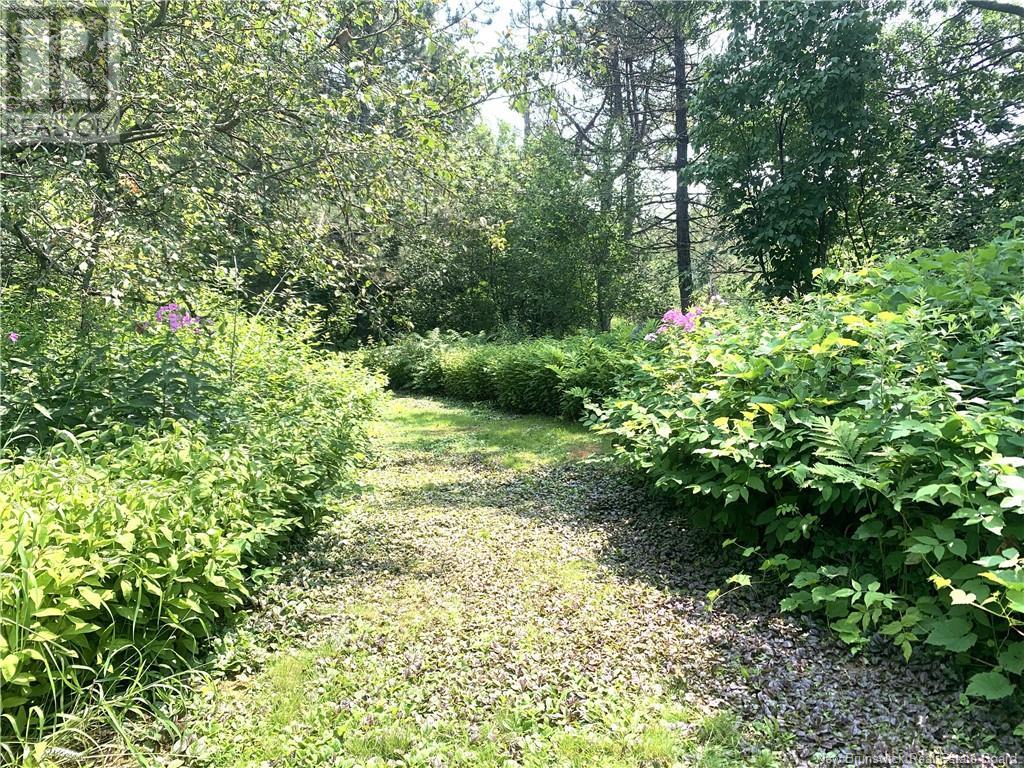 367 Route 105, Maugerville, New Brunswick  E3A 8N6 - Photo 50 - NB123157