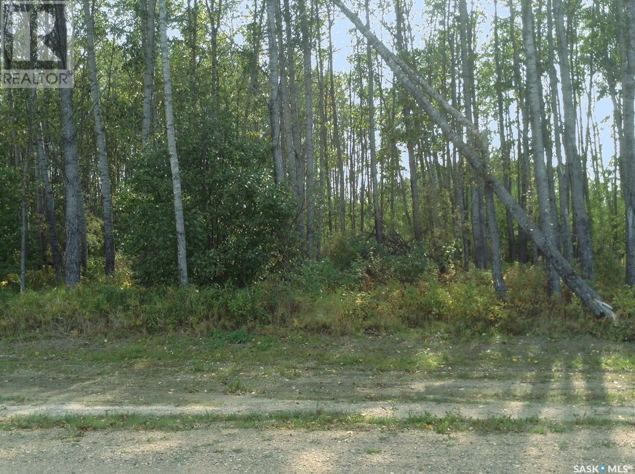 6 Pelly Street, Big River Rm No. 555, Saskatchewan  S0J 0E0 - Photo 10 - SK013011