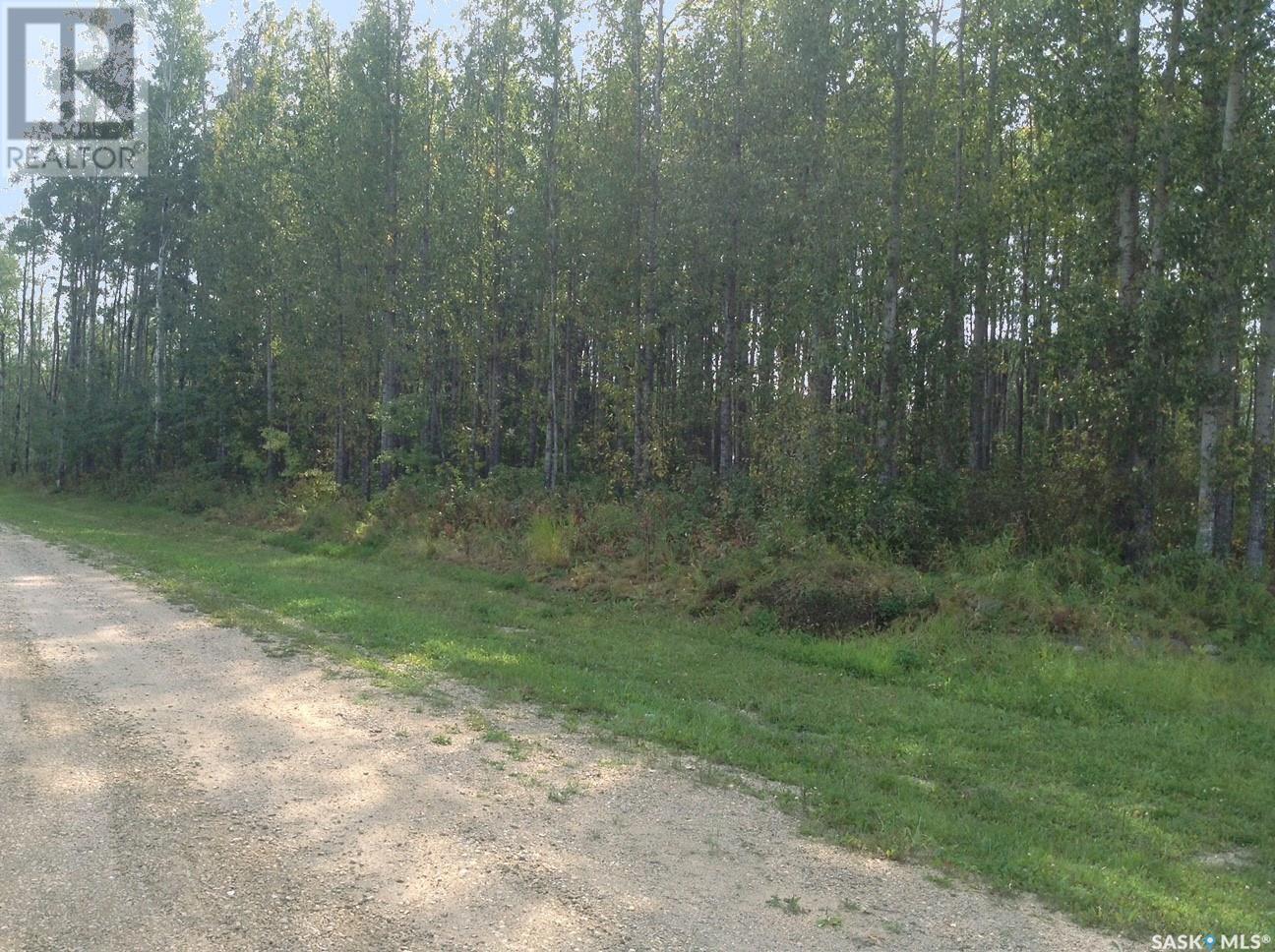6 Pelly Street, Big River Rm No. 555, Saskatchewan  S0J 0E0 - Photo 11 - SK013011