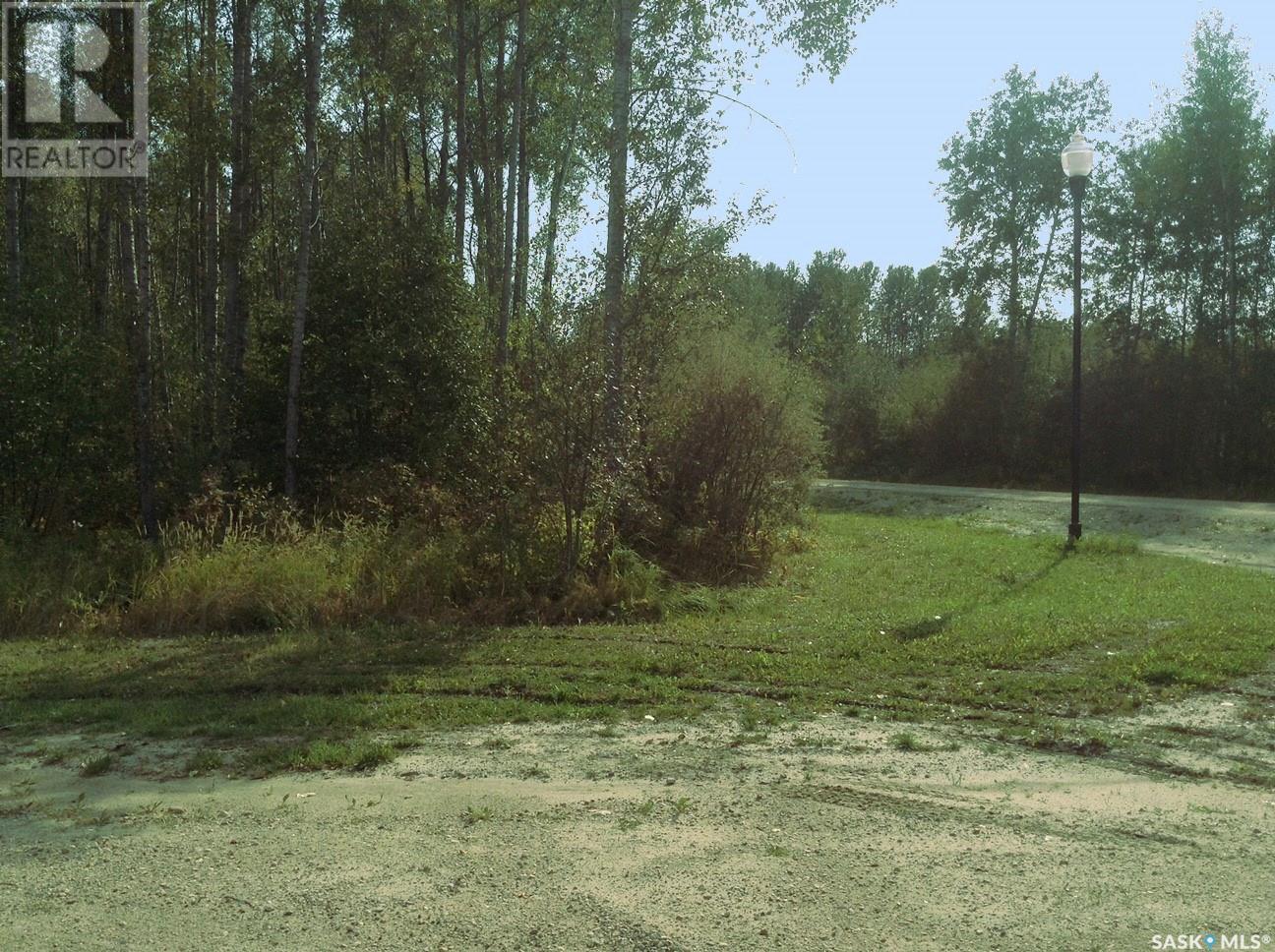6 Pelly Street, Big River Rm No. 555, Saskatchewan  S0J 0E0 - Photo 8 - SK013011