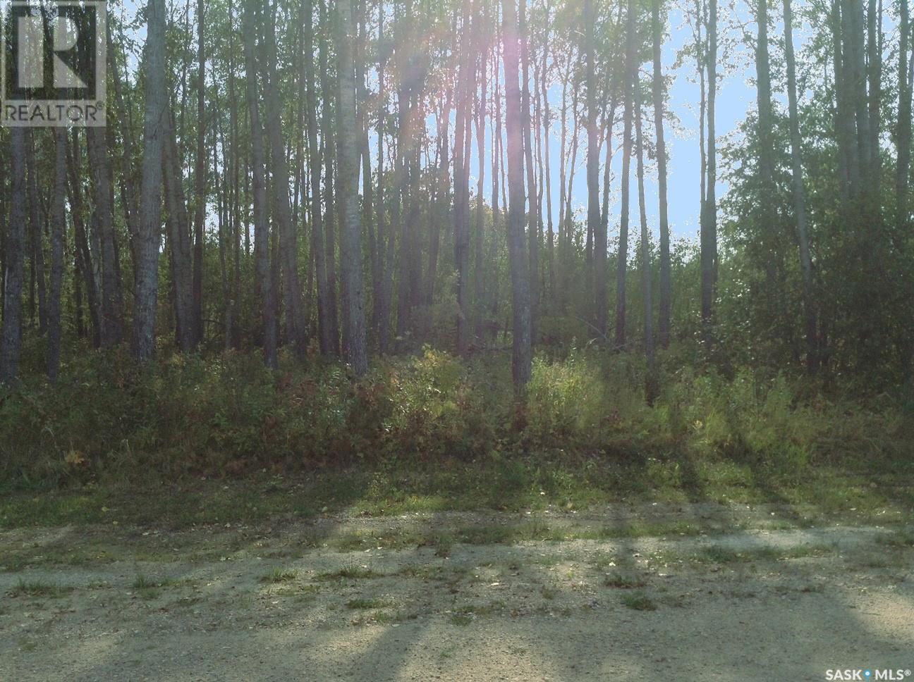 6 Pelly Street, Big River Rm No. 555, Saskatchewan  S0J 0E0 - Photo 9 - SK013011