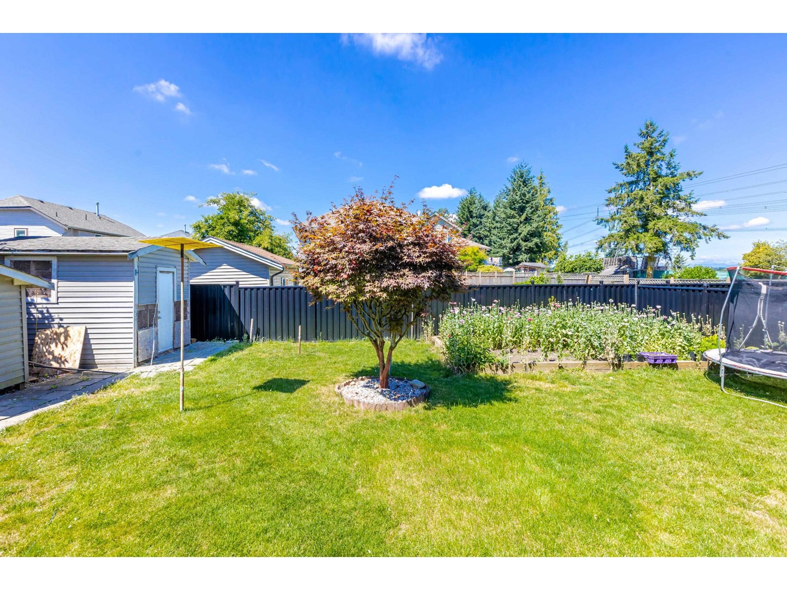 3701 Blue Jay Street, Abbotsford, British Columbia  V2T 6R6 - Photo 31 - R3027226