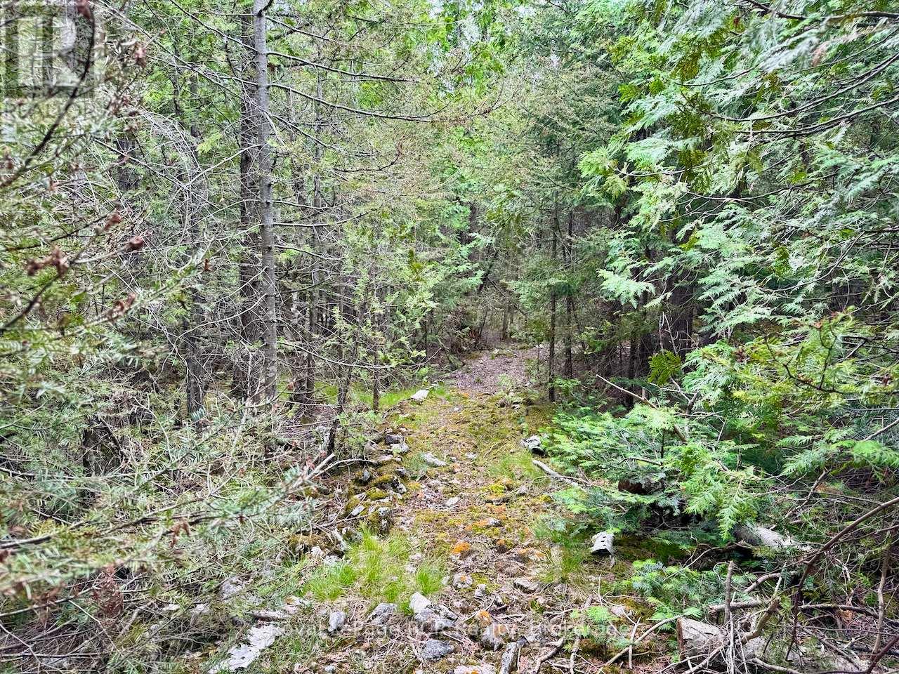 104 Little Pine Drive, Northern Bruce Peninsula, Ontario  N0H 1W0 - Photo 32 - X12292628