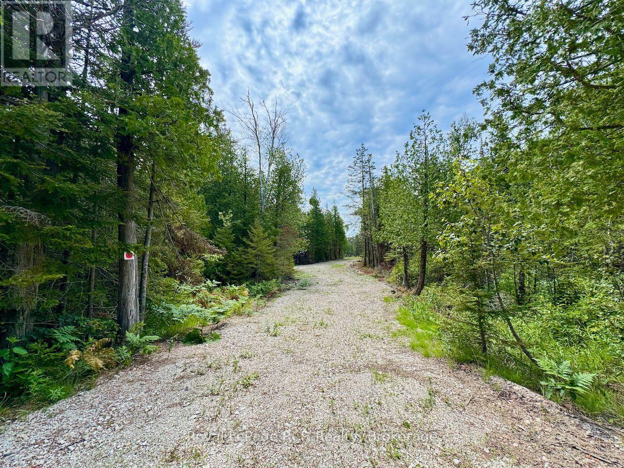 104 Little Pine Drive, Northern Bruce Peninsula, Ontario  N0H 1W0 - Photo 4 - X12292628