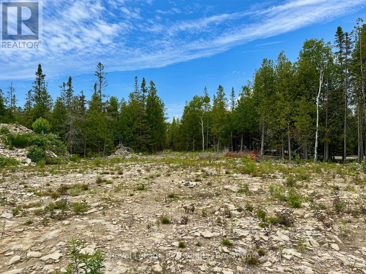 104 Little Pine Drive, Northern Bruce Peninsula, Ontario  N0H 1W0 - Photo 9 - X12292628