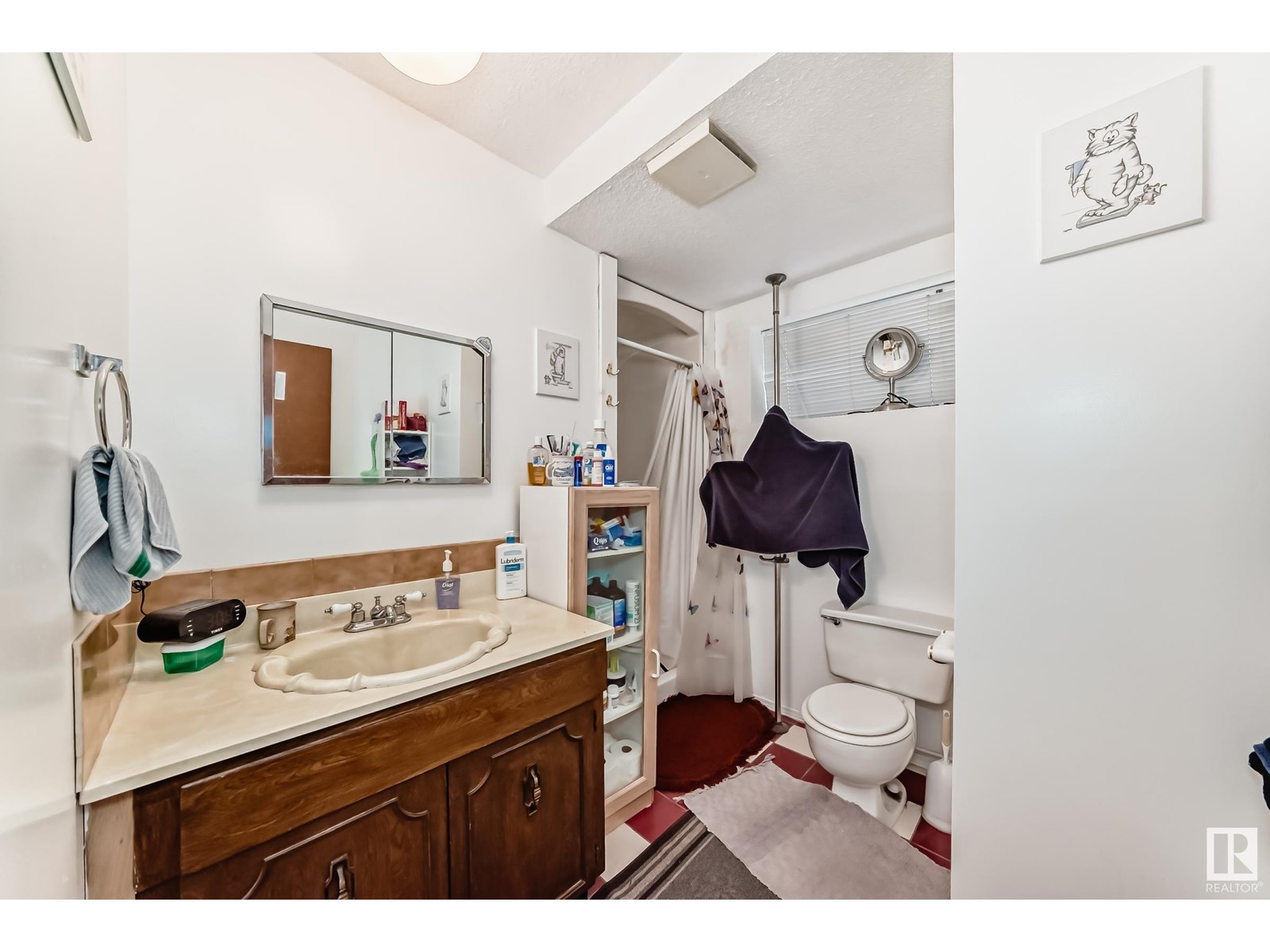 11240 95a St Nw, Edmonton, Alberta  T5G 1N8 - Photo 20 - E4448414